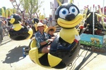 Calgary Stampede!